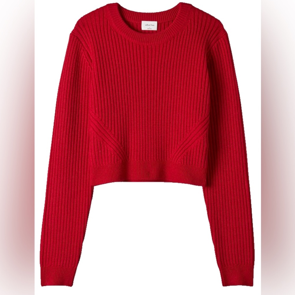 Aritzia Red Cropped Merino Wool Sweater XS